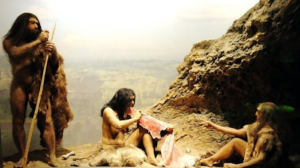 Early Humans 11