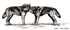 Canine Greeting 2