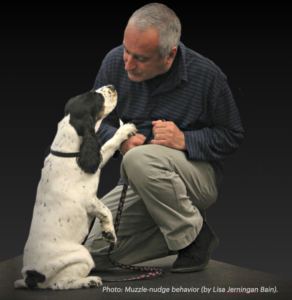 Canine Muzzle Nudge (RAA)